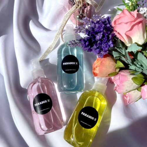 Perfume de ropa Parador X