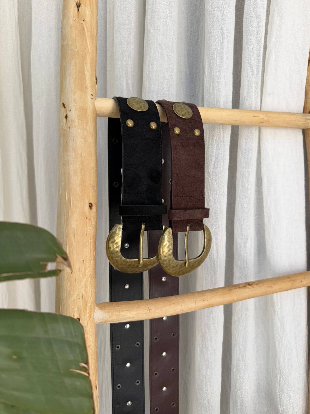 Cinto Luna - Imagen 3